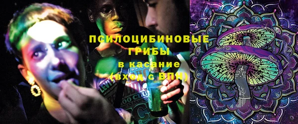 твердый Алексеевка
