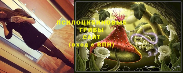 твердый Алексеевка