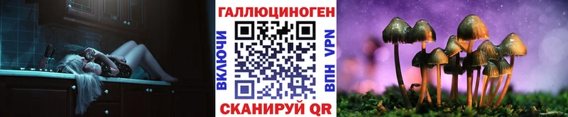 как найти   это наркотические препараты  Галлюциногенные грибы Psilocybe  Лениногорск 